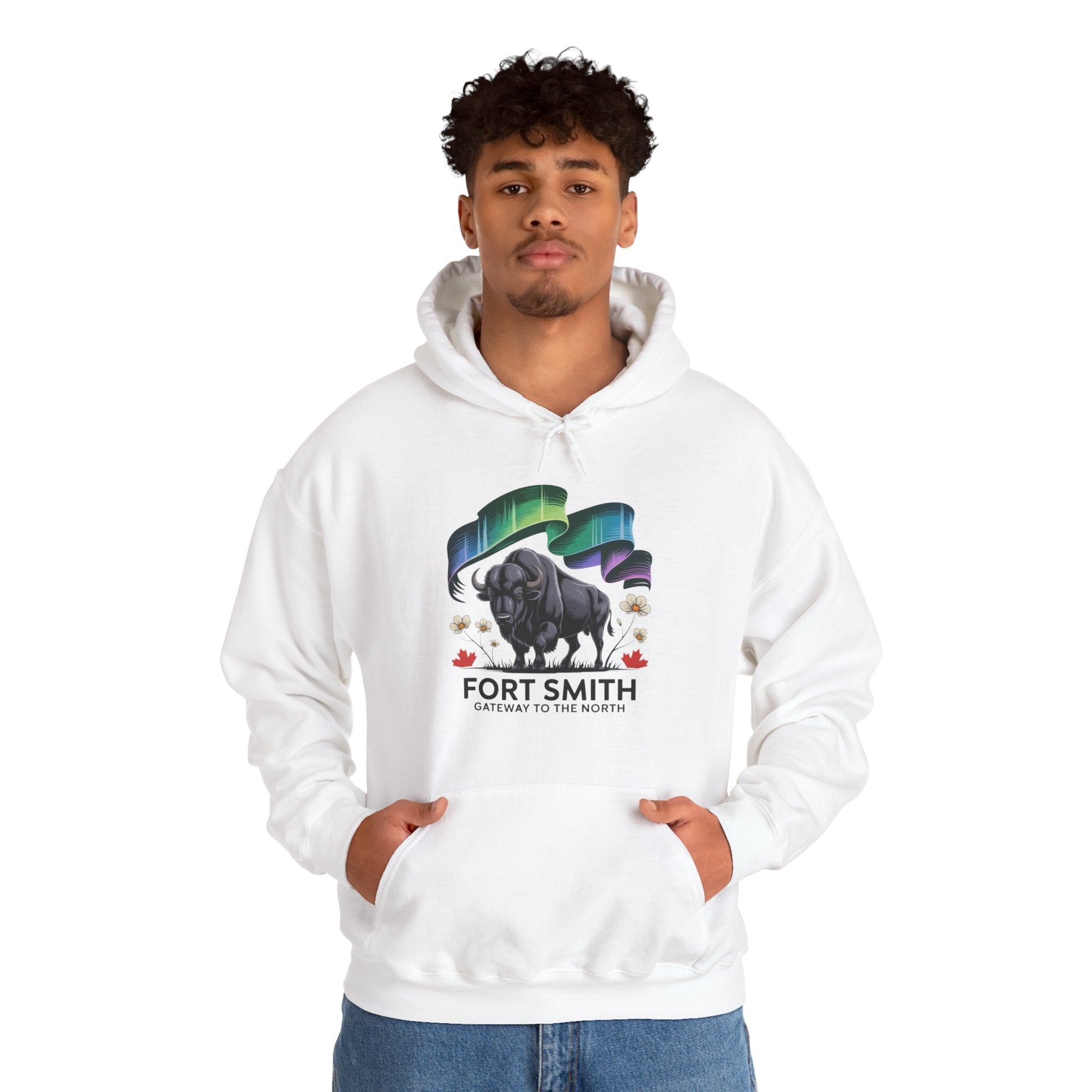 Fort Smith Northern Lights Hoodie — Black Bear Design