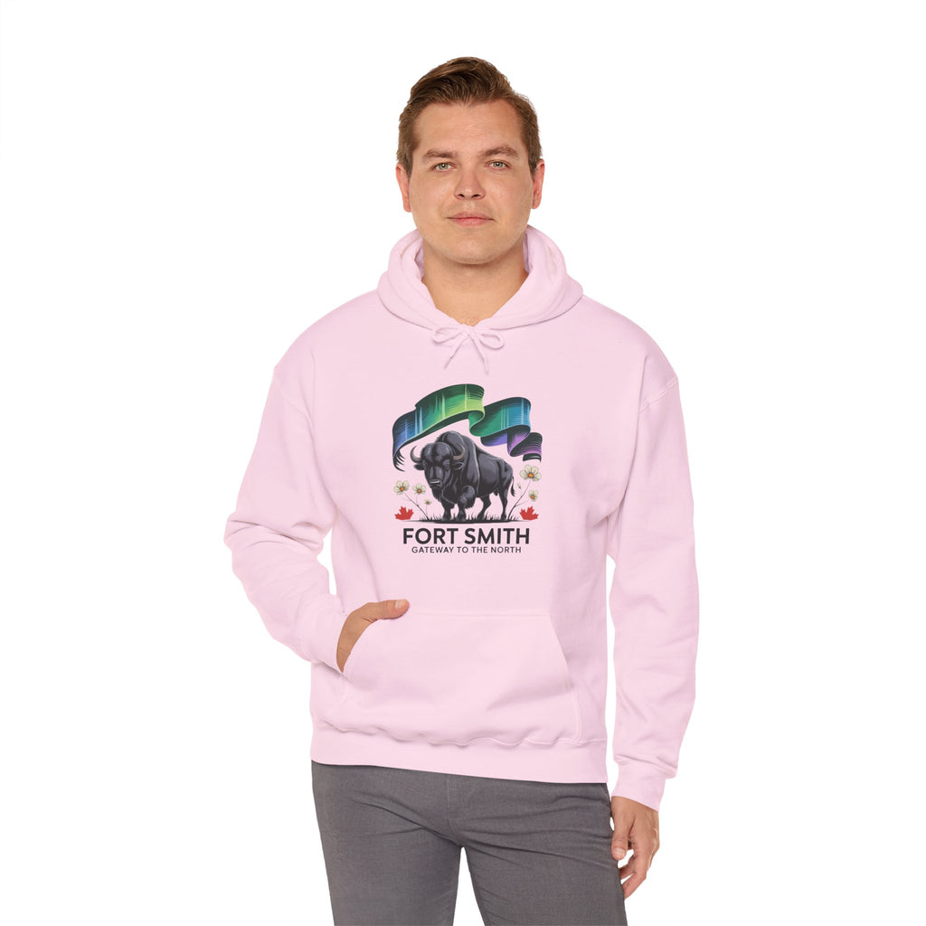 Fort Smith Northern Lights Hoodie — Black Bear Design