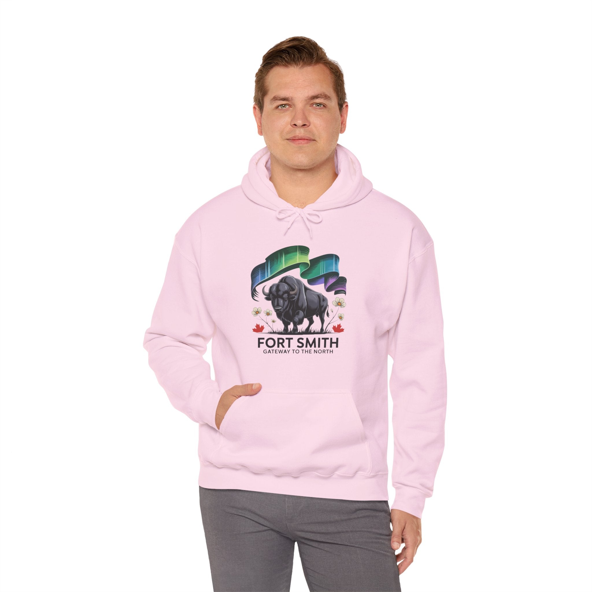 Fort Smith Northern Lights Hoodie — Black Bear Design