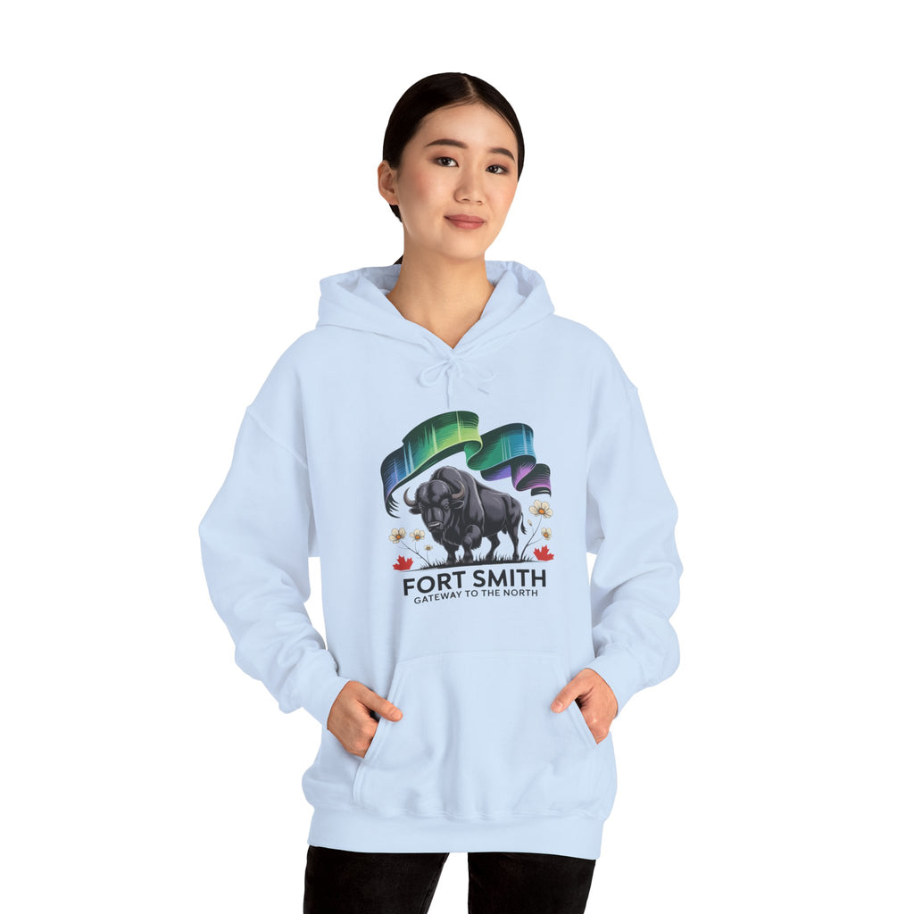 Fort Smith Northern Lights Hoodie — Black Bear Design