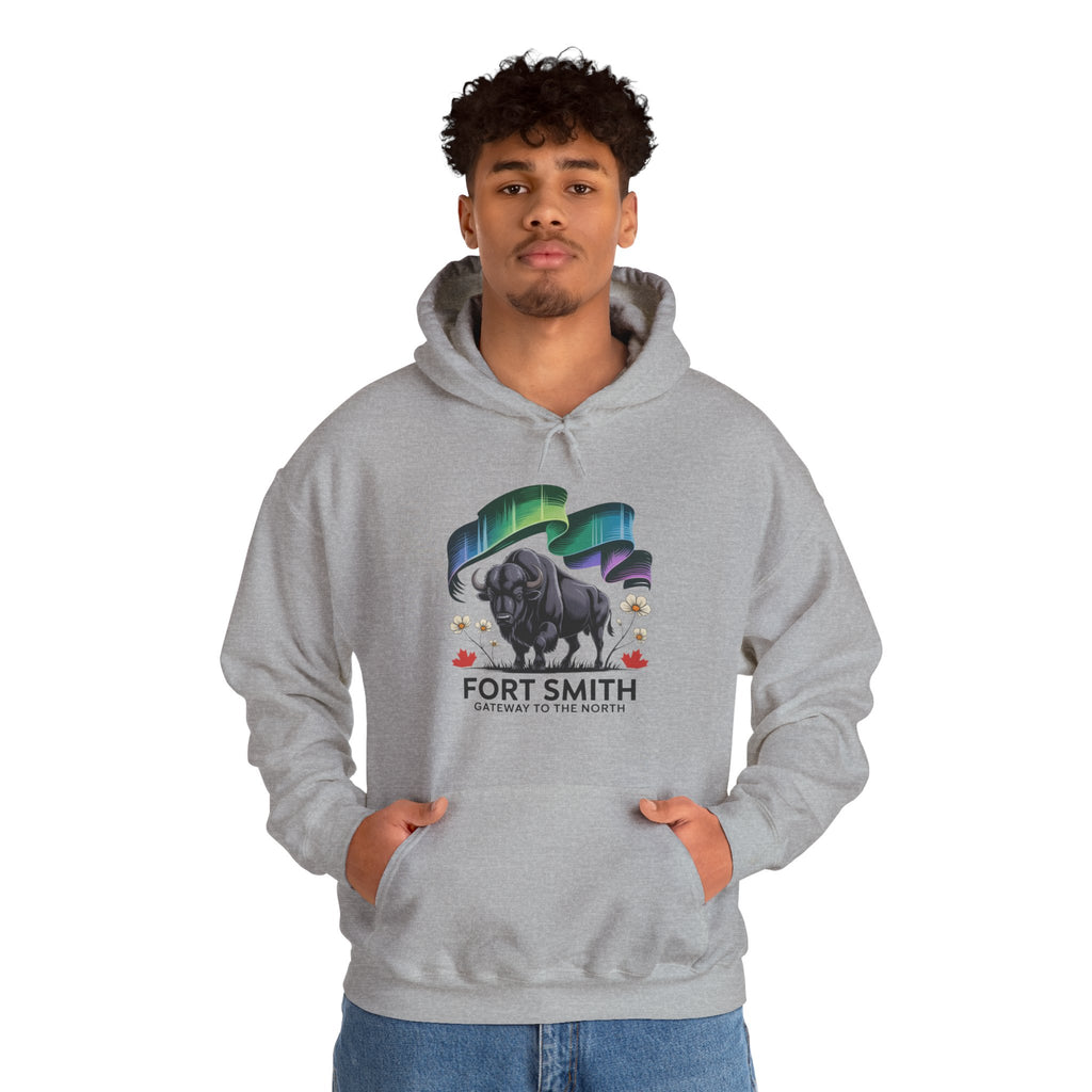 Fort Smith Northern Lights Hoodie — Black Bear Design