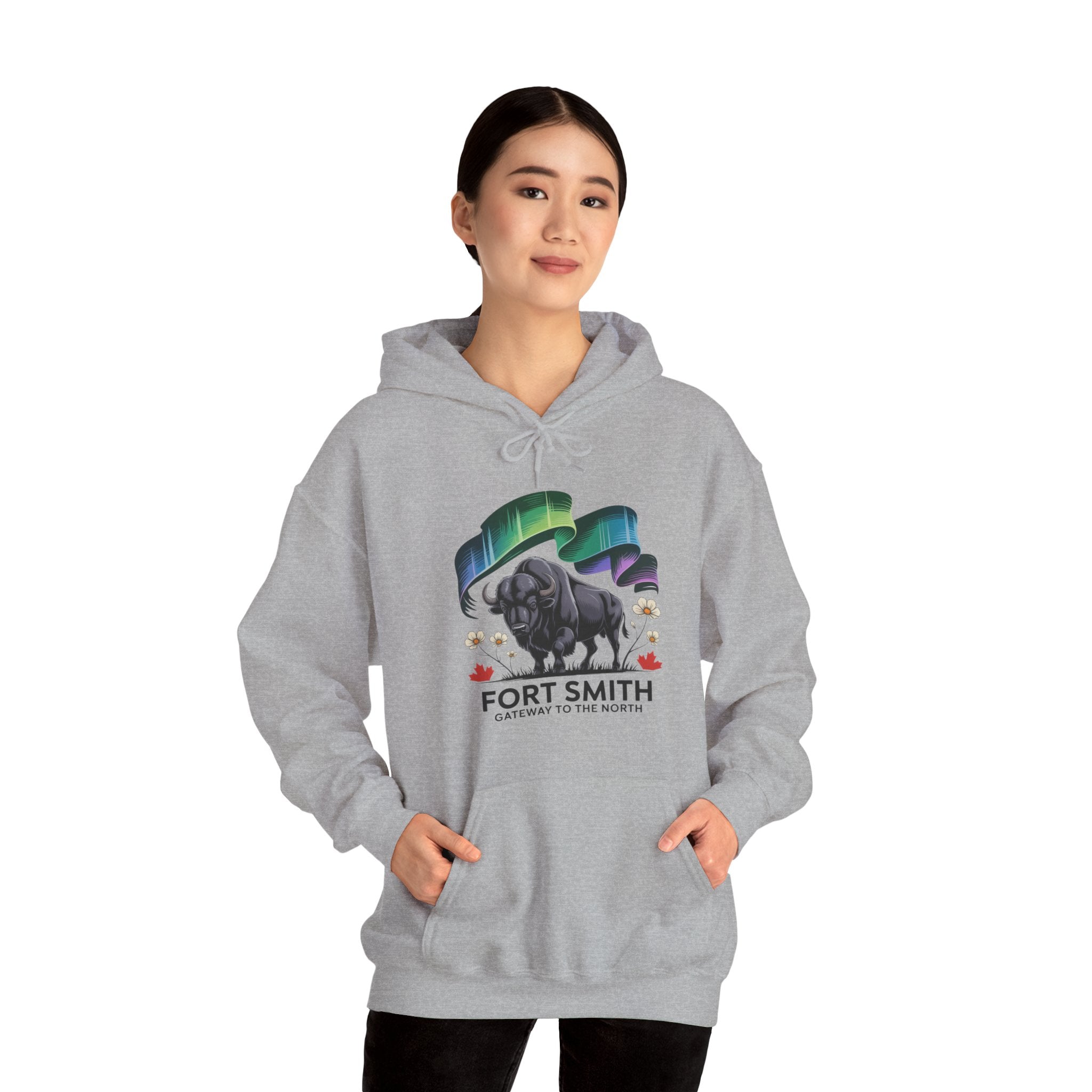 Fort Smith Northern Lights Hoodie — Black Bear Design