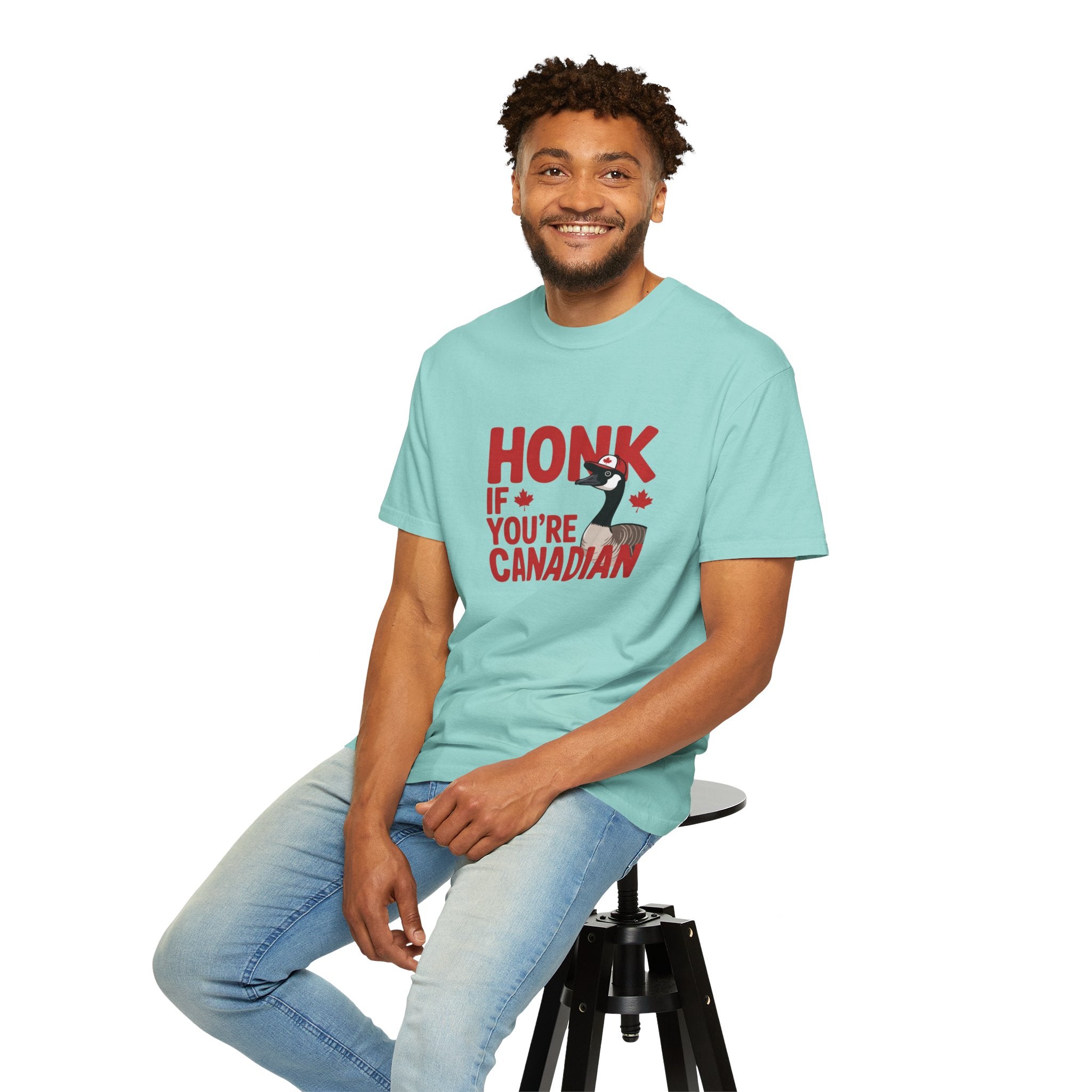 Honk If You’re Canadian T-Shirt — Funny Canada Goose Pride Tee