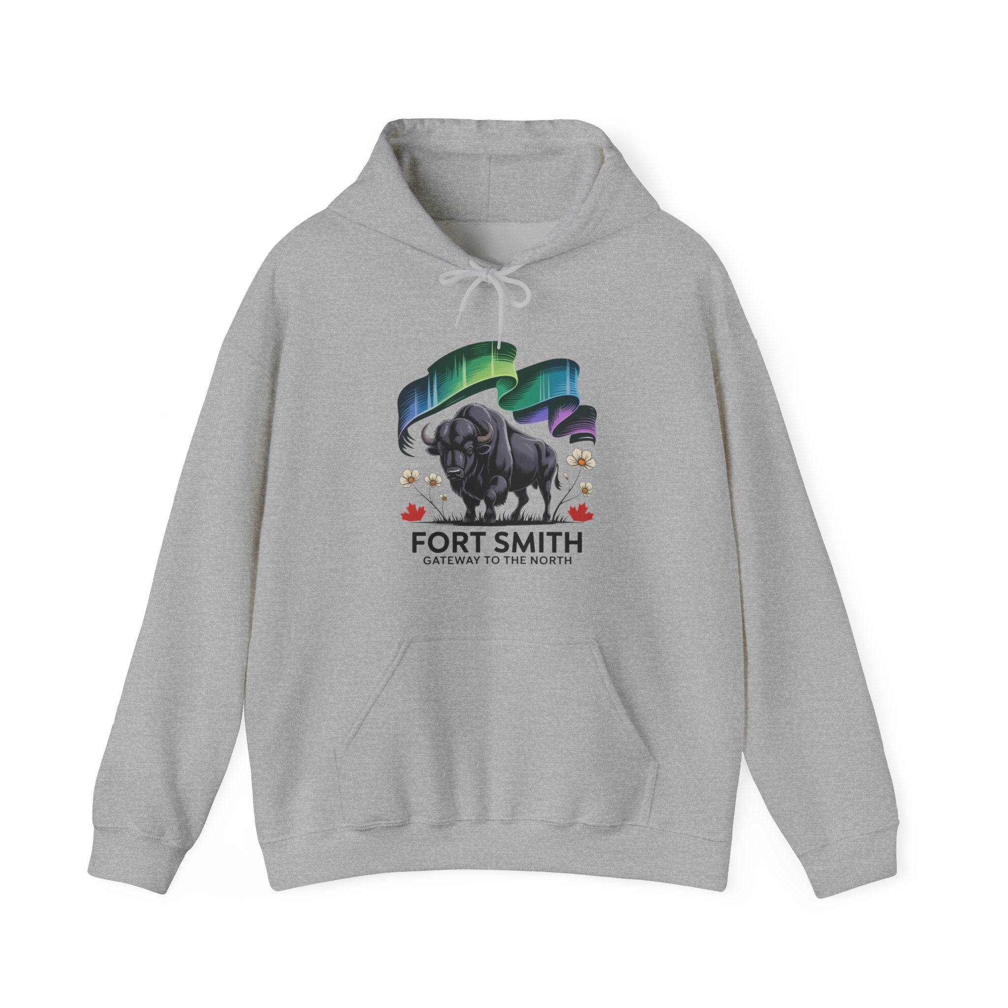 Fort Smith Northern Lights Hoodie — Black Bear Design