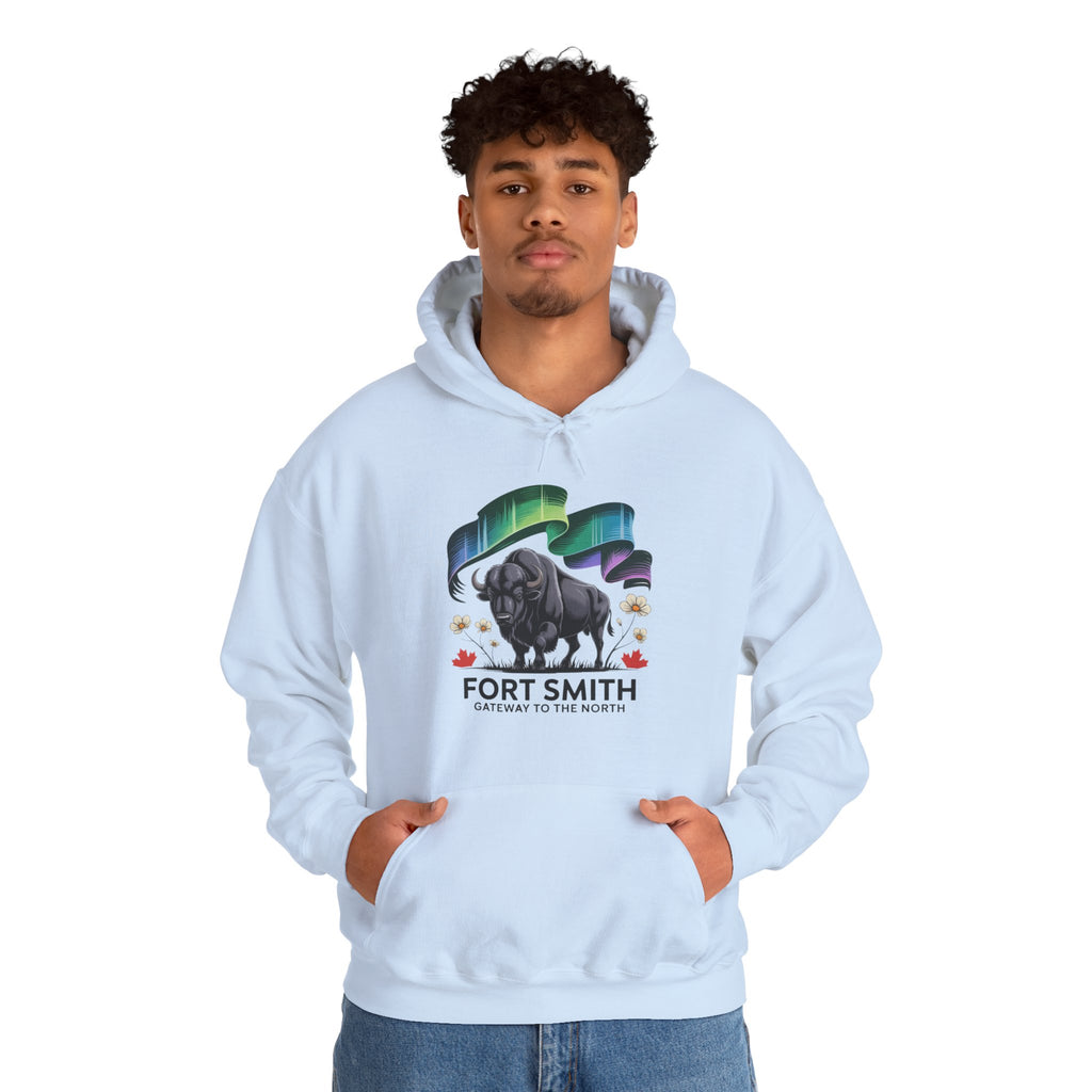 Fort Smith Northern Lights Hoodie — Black Bear Design