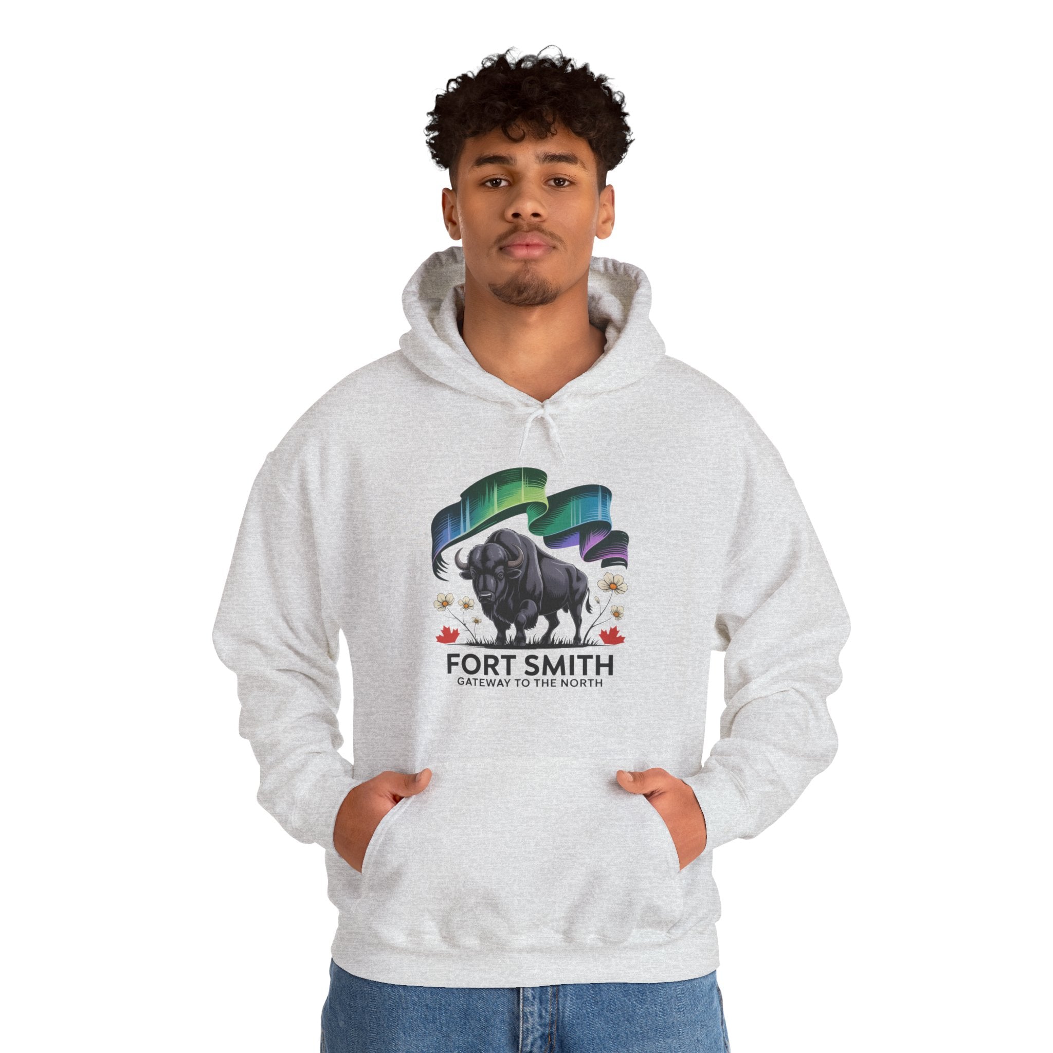 Fort Smith Northern Lights Hoodie — Black Bear Design