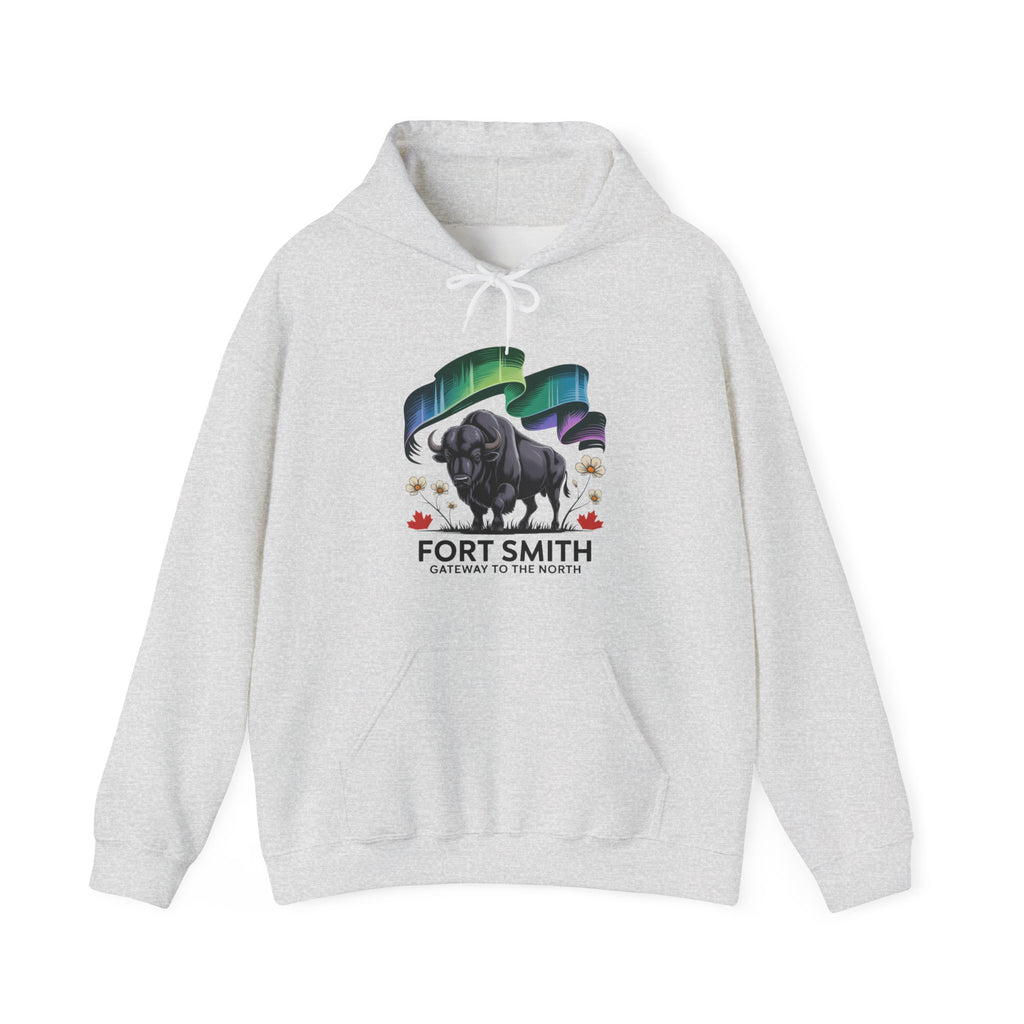 Fort Smith Northern Lights Hoodie — Black Bear Design