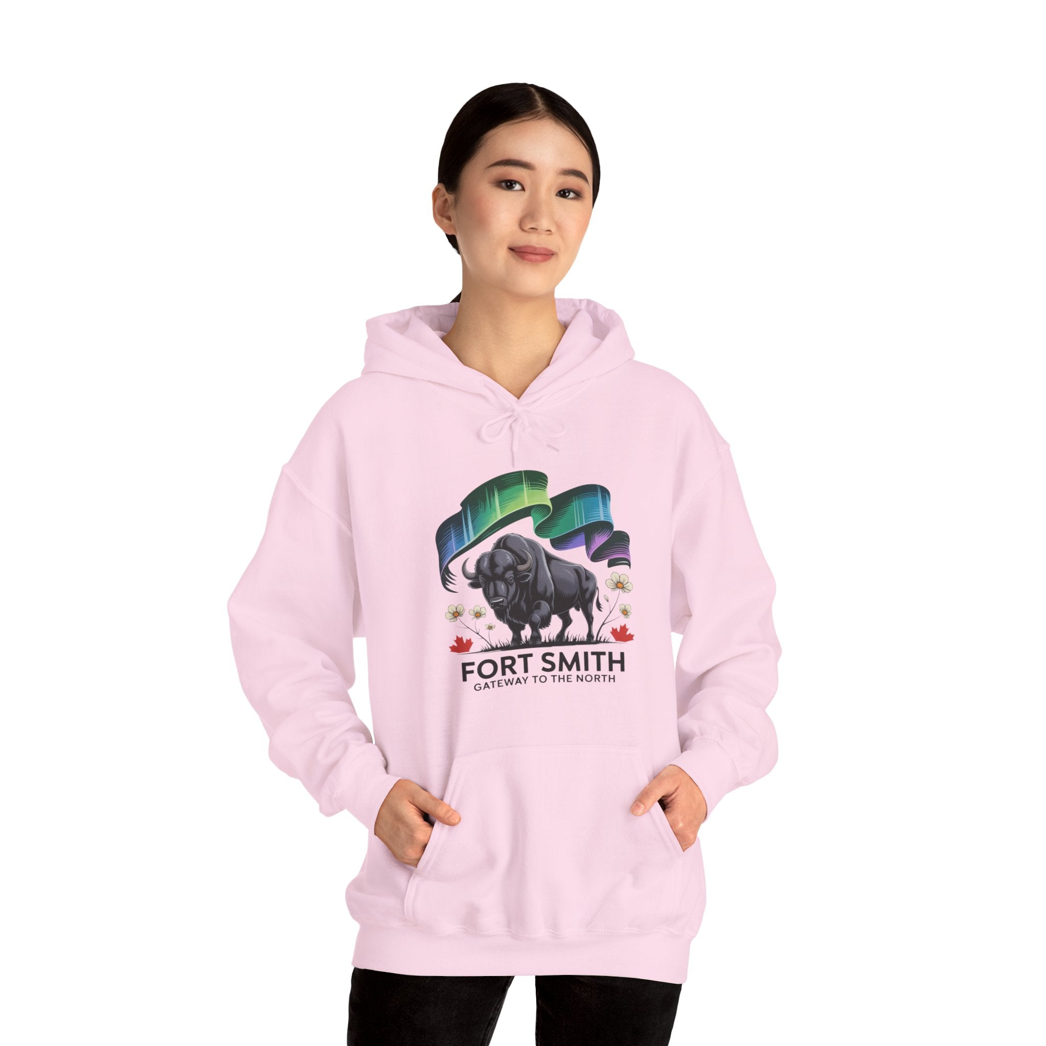 Fort Smith Northern Lights Hoodie — Black Bear Design