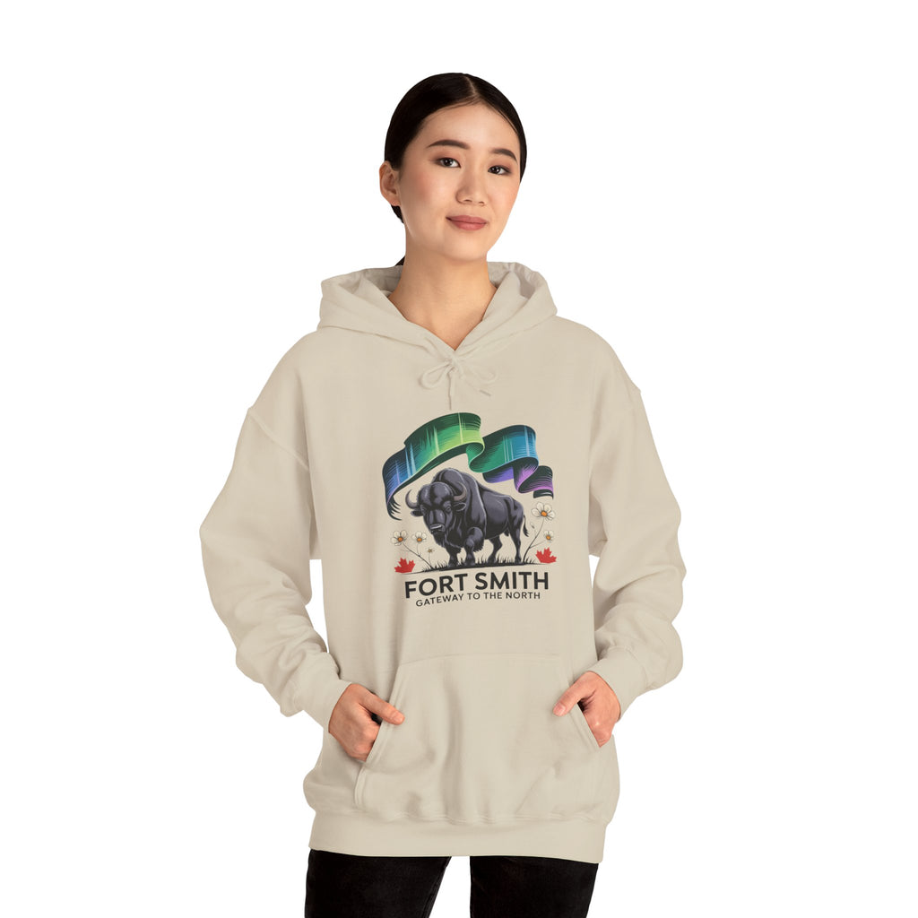 Fort Smith Northern Lights Hoodie — Black Bear Design
