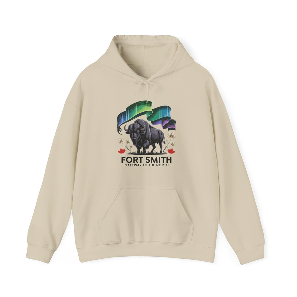 Fort Smith Northern Lights Hoodie — Black Bear Design