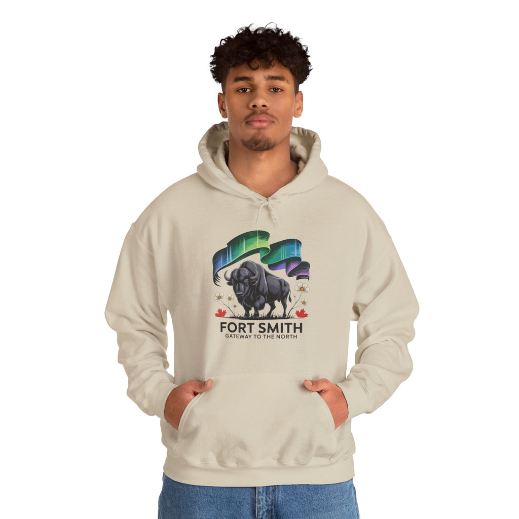 Fort Smith Northern Lights Hoodie — Black Bear Design