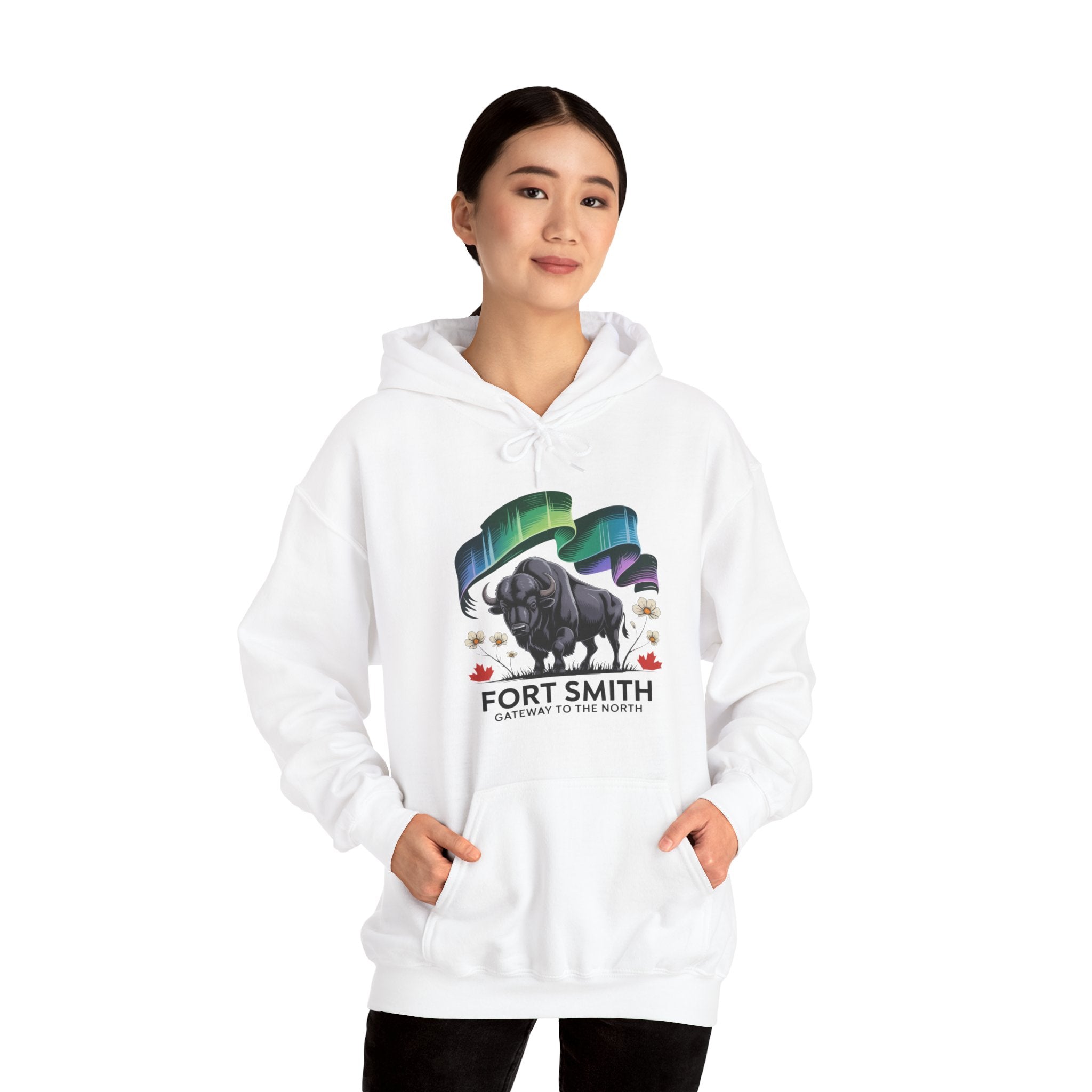 Fort Smith Northern Lights Hoodie — Black Bear Design