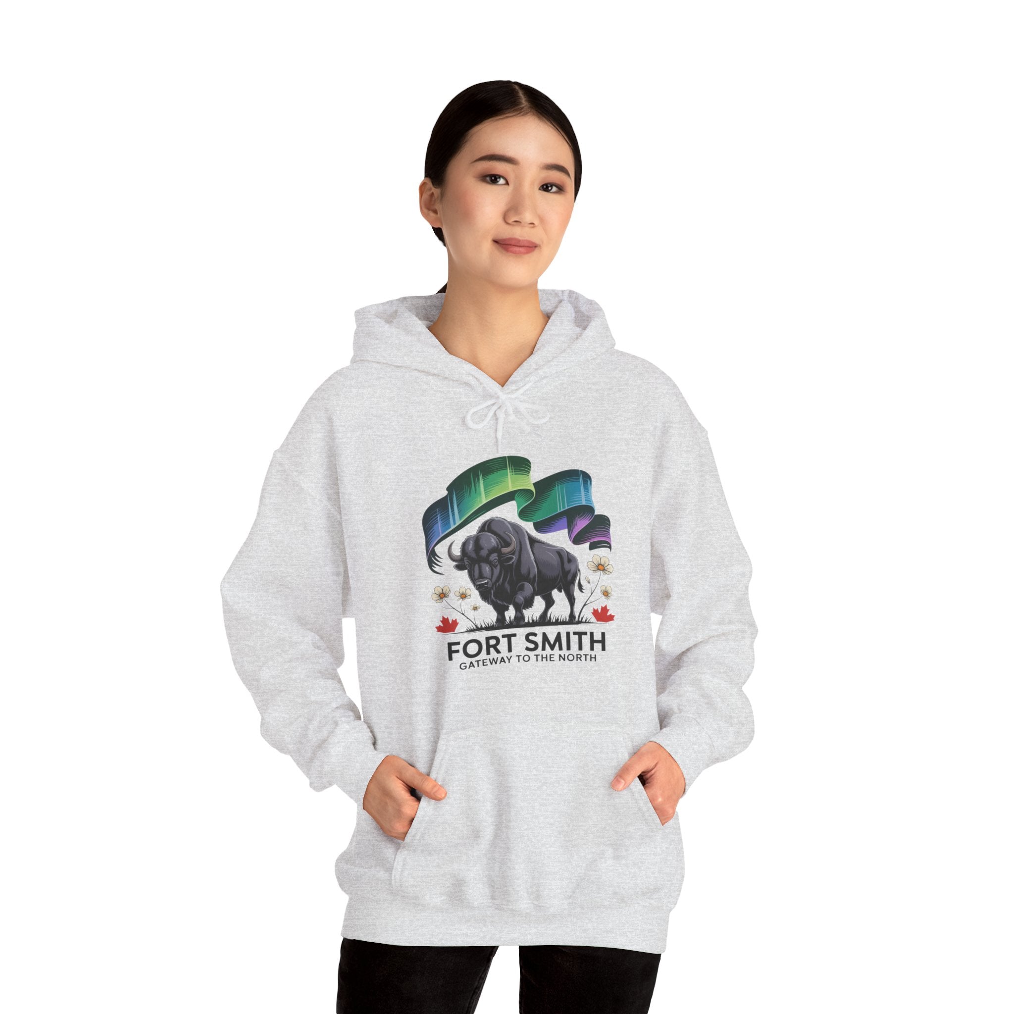 Fort Smith Northern Lights Hoodie — Black Bear Design