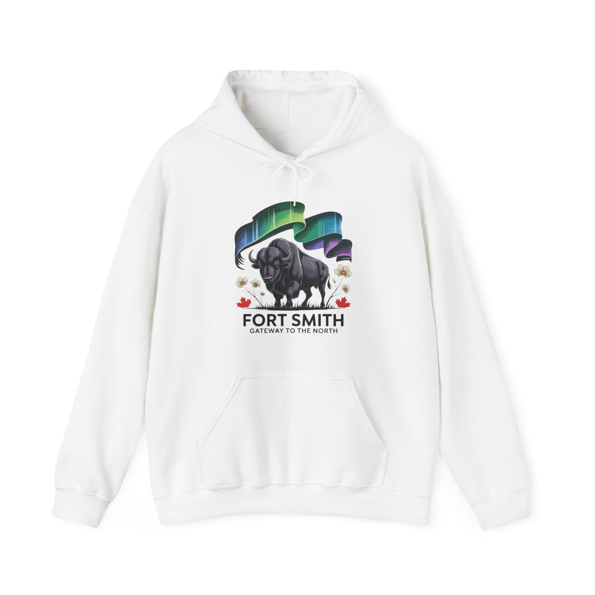 Fort Smith Northern Lights Hoodie — Black Bear Design